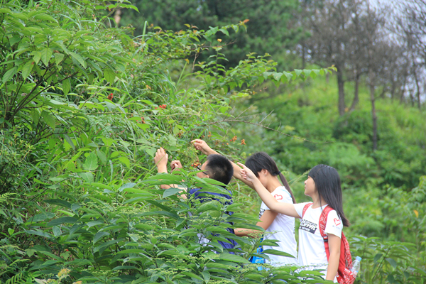 IMG_5216_副本.jpg